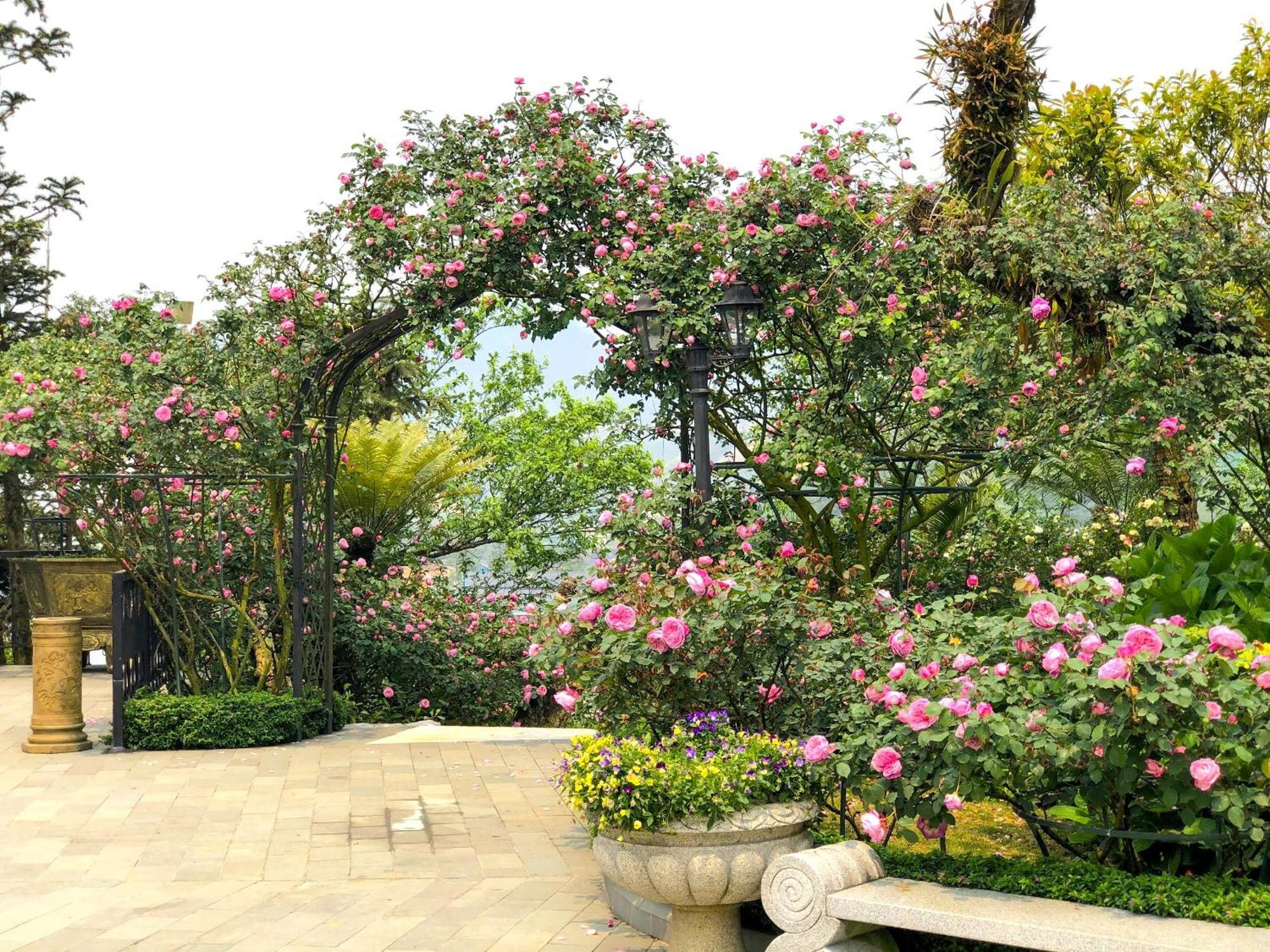 Silk Path Grand Sapa Resort & Spa Екстериор снимка Rose Garden